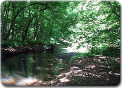 Flint River Alabama